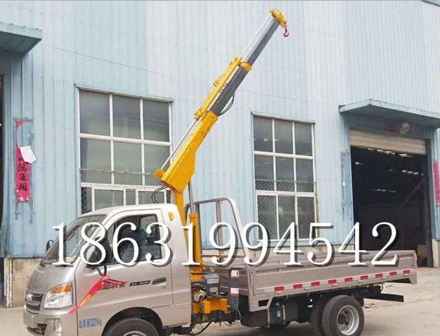 兴文县车载吊机220伏家用吊机吊车家用车可拆卸小型车载吊机价格